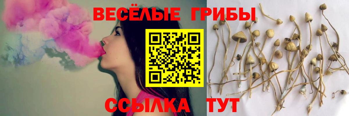 Галлюциногенные грибы прущие грибы  Вход с VPN  Псилоцибиновые грибы мицелий  Южноуральск 