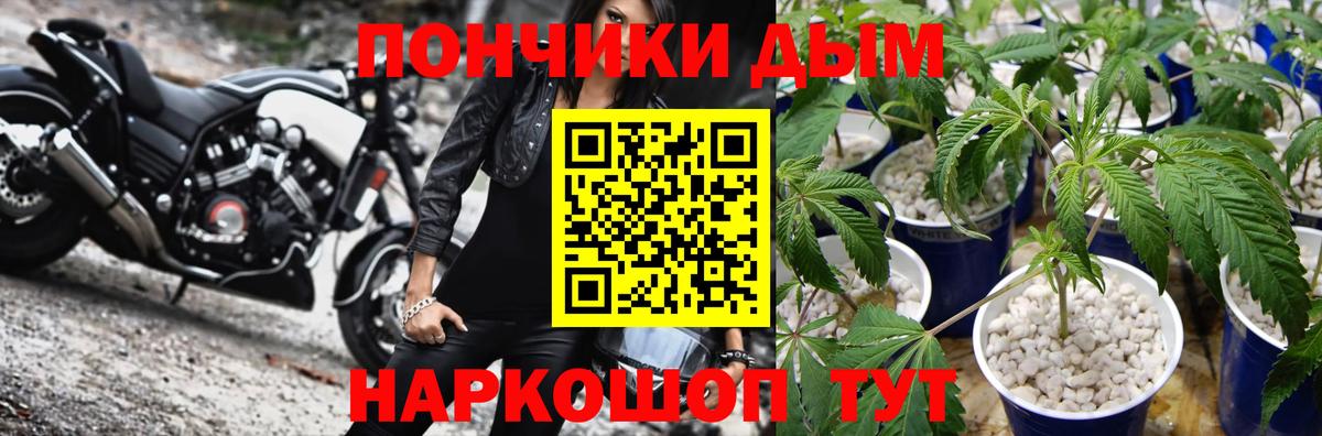 Конопля сатива  Каннабис ГИДРОПОН  Вход с VPN  Марихуана марихуана  Южноуральск 